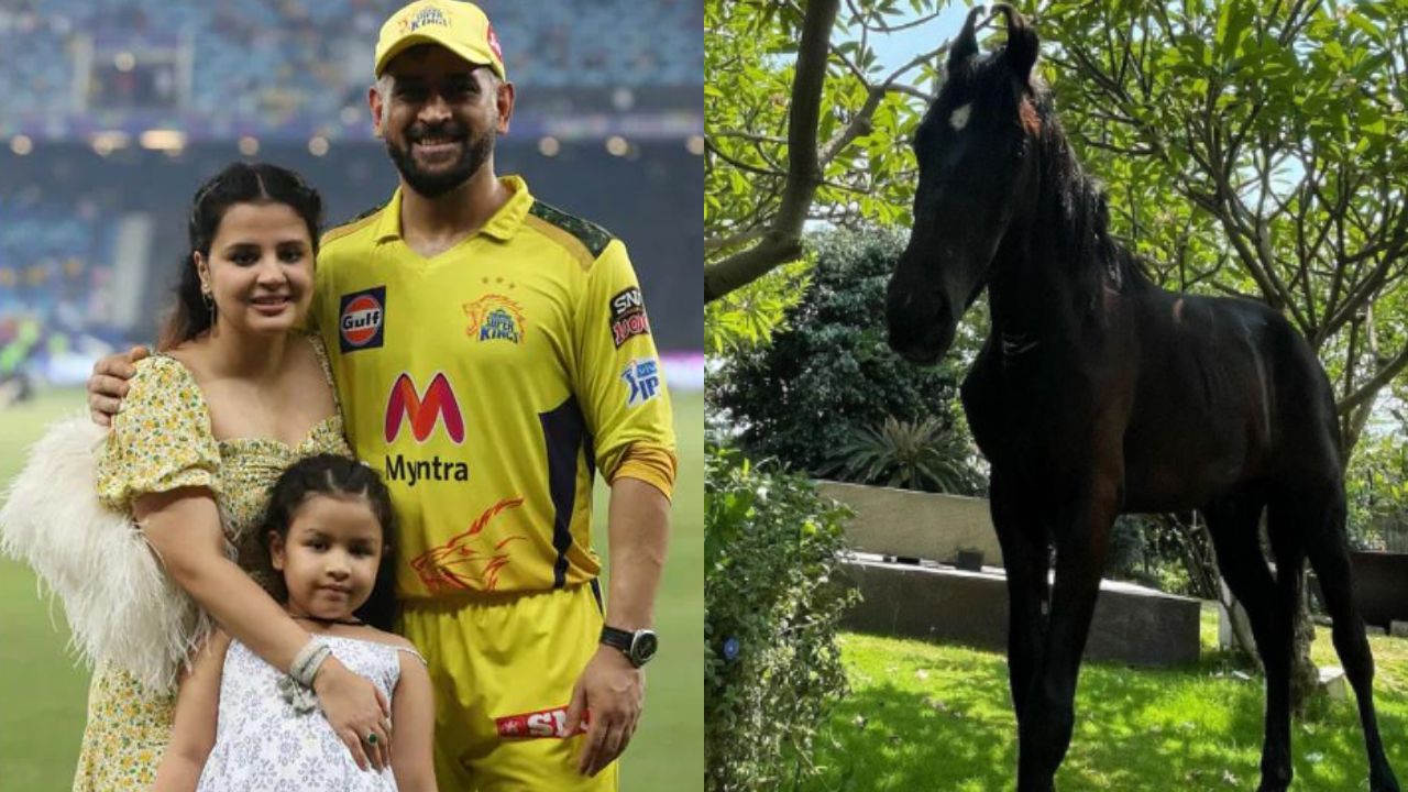 Mahendra Singh Dhoni new horse chetak